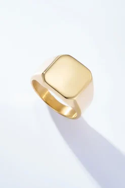 Bague chevalière grande taille