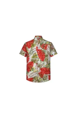 Chemise courtes à épaisseur légère