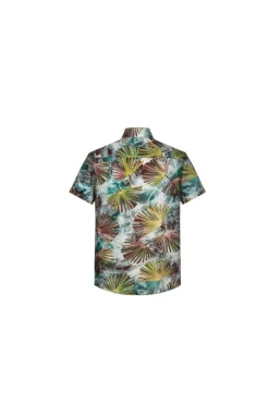 Chemise courtes à épaisseur légère