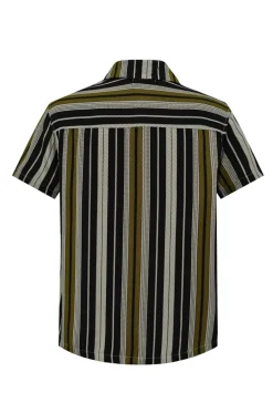 Chemise habillée à rayures verticales