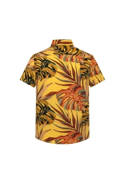 Chemise manches courtes