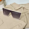 Lunettes de soleil