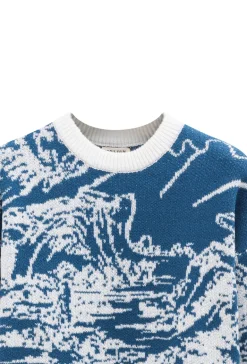 Pull col rond